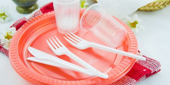 Использование пластиковой посуды влияет на гормональный фон