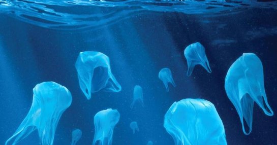 К 2050-му масса пластиковых отходов во всемирном океане превысит массу рыбы