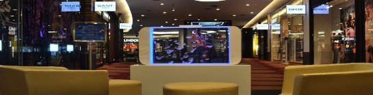 Если вы замечаете недовольство между работниками компании, если в доме дискомфортно, то вам требуется аквариум Если вы замечаете недовольство между работниками компании, если в доме дискомфортно, то вам требуется аквариум