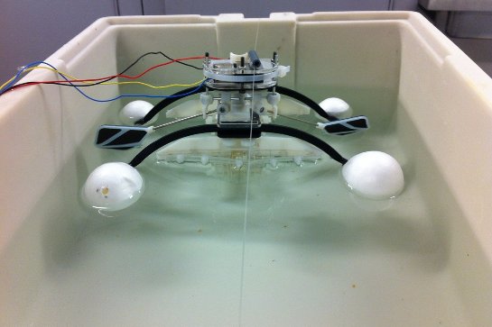 Создан робот, который способен очищать водоемы