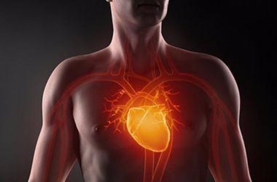 Ученые выяснили, какие профессии опасны для сердца