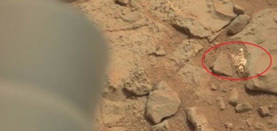 На Марсе зафиксировали останки живого существа