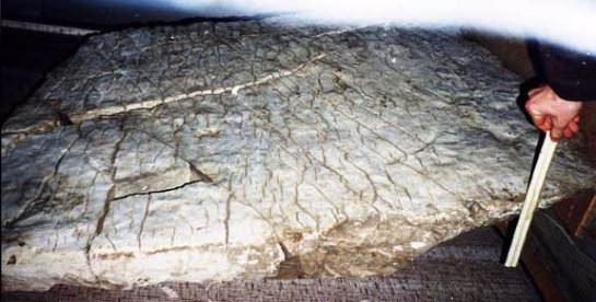 В Дании найдена каменная карта