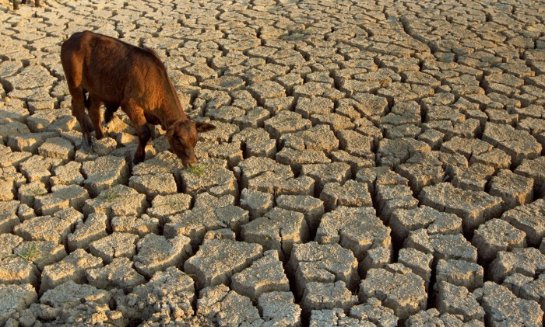 Землю, возможно, ожидает сильная засуха