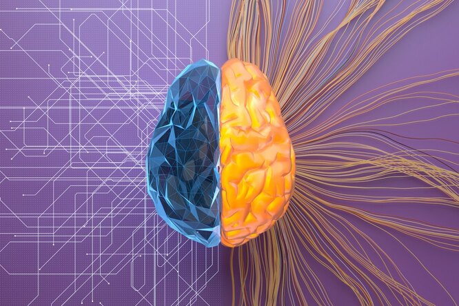META представила универсальную нейросеть, самостоятельно распознающую фото, аудио и видео: новая веха в истории ИИ