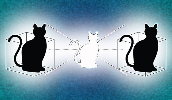 Физики открыли второго кота Шредингера (или нет)