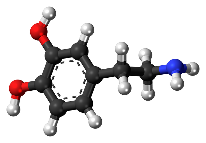 Молекула дофамина