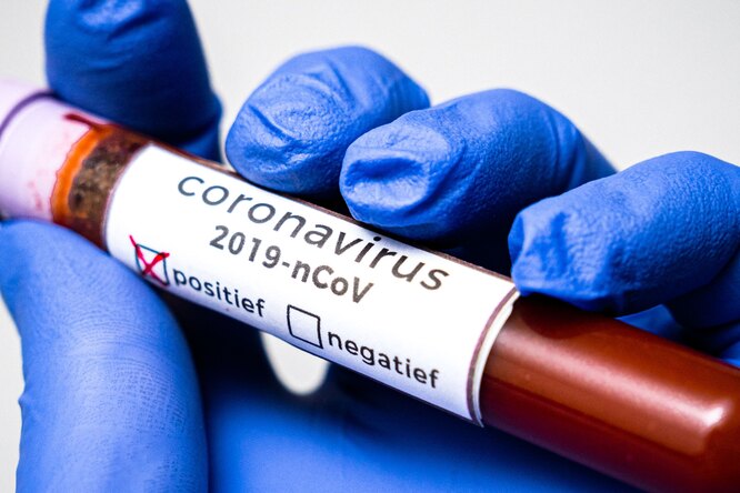 Как долго коронавирус остается на ручках дверей и унитазах?
