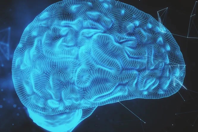 Мозг и искусственный интеллект. Главные новости науки сегодня