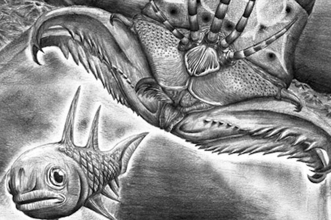 Расчетливый убийца: как выглядел самый жестокий морской червь древнего мира