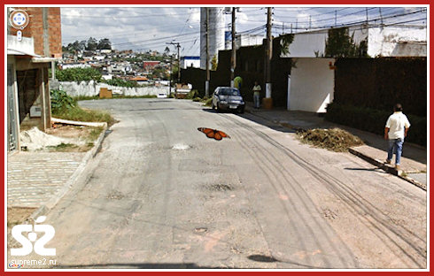 Необычные кадры из Google Street View