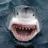 У человека зубы тверже, чем у акулы