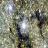 Телескоп VISTA сфотографировал ядро Млечного Пути