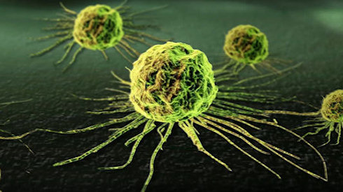 «Сети» из молекул ДНК будут отлавливать раковые клетки