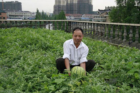 Китайские города могут позеленеть