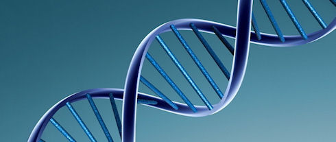 Молекулы ДНК превратят в идеальные носители информации