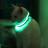 HALO MINI – ошейник для домашних животных с подсветкой