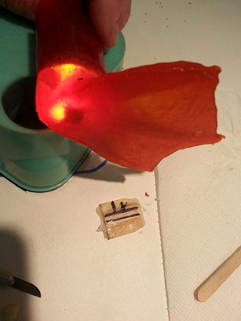 Протез лапки для гуся напечатали на 3D-принтере