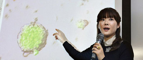 Японские биологи показали «фальшивую» методику работы с живыми клетками