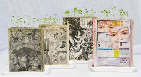 В Японии придумали книги и журналы для выращивания растений