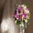 Цветочная феерия – дарите женщинам цветы!