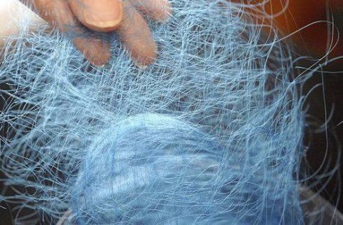 Из паутины создали прочнейшее в мире волокно