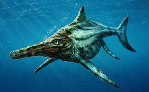 Останки древней рептилии, найденные в Шотландии, потрясли ученых