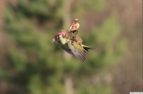 Путин верхом на дятле порвал интернет: лучшие фотожабы на уникальный снимок