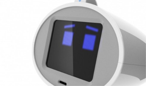 RoboDynamics представила Luna — верного робота-слугу