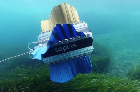 Робот-рыба улучшит подводную съёмку