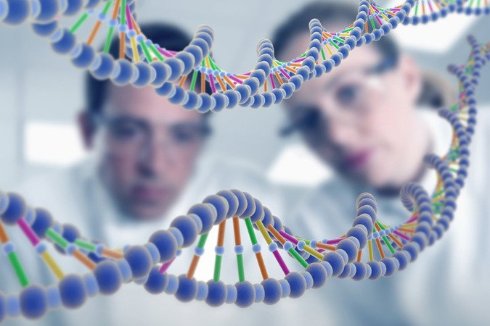 Смартфон поможет сделать анализ ДНК