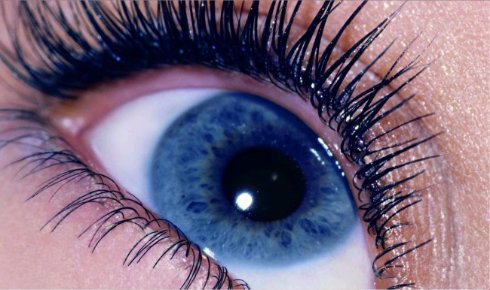 Учёные обнаружили взаимосвязь между цветом глаз и склонностью к алкоголизму