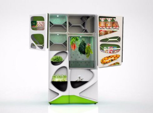 Уникальный холодильник сам выращивает продукты