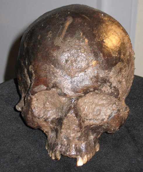 В доисторическом черепе нашли неповрежденный человеческий мозг (ФОТО)